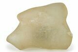 Libyan Desert Glass ( g) - Meteorite Impactite #222258-1